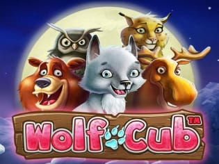 Wolf Cub screenshot
